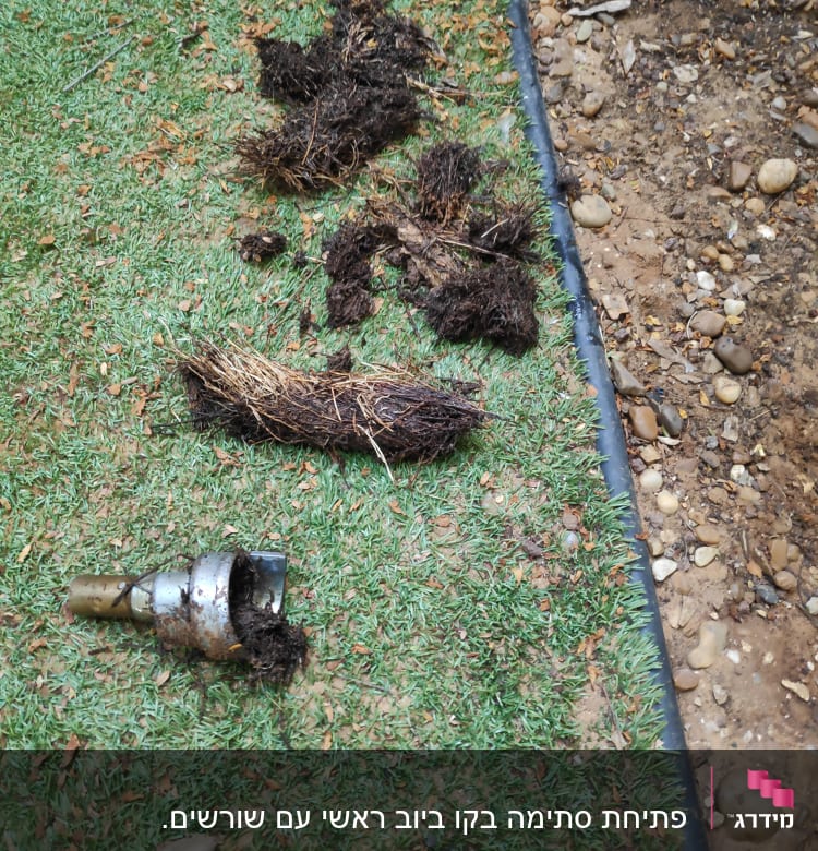 חלק מתכת עם שורשים על דשא מלאכותי
